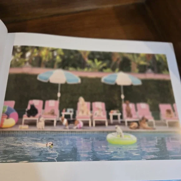 Gray Malin: Dogs: Photographs | EUC Coffee Table Book Canine Photography - Picture 8 of 12